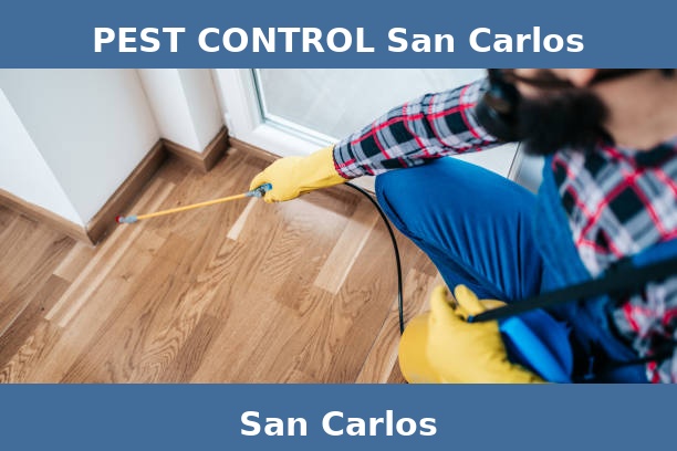 PEST CONTROL San Carlos